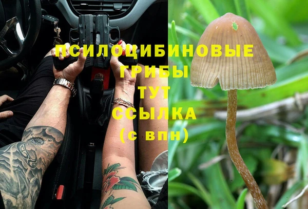 кокаин премиум Горнозаводск