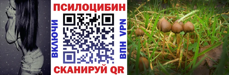 Галлюциногенные грибы GOLDEN TEACHER  Егорьевск 