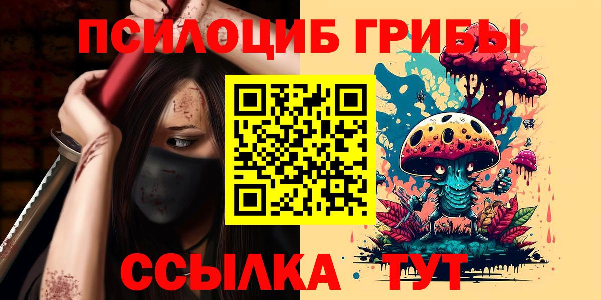Егорьевск  Галлюциногенные грибы прущие грибы  Псилоцибиновые грибы Psilocybine cubensis  Вход с VPN 