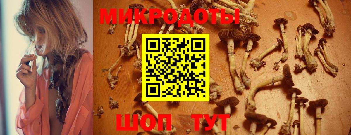 Галлюциногенные грибы мухоморы Егорьевск